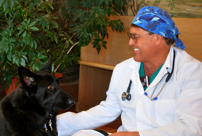 Dr. Ian J. Haws